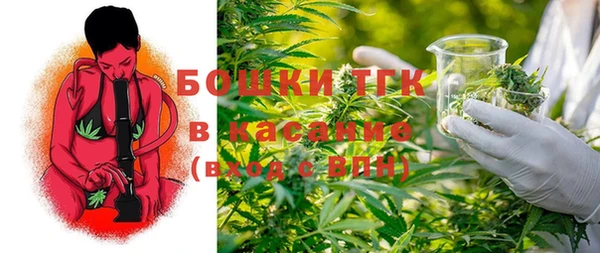 spice Бородино