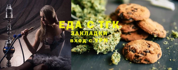 spice Бородино