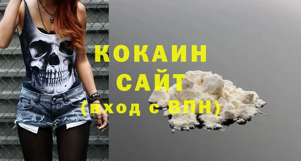 spice Бородино